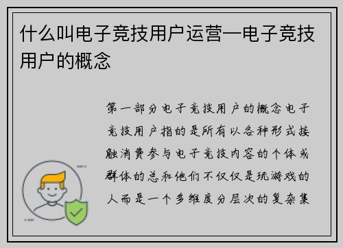 什么叫电子竞技用户运营—电子竞技用户的概念